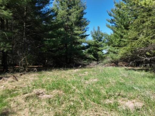 TBD County Road 14, Browerville, MN 56438