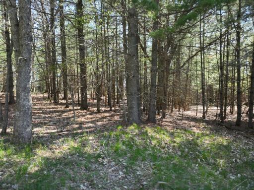 TBD County Road 14, Browerville, MN 56438