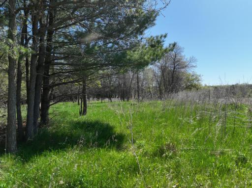 TBD County Road 14, Browerville, MN 56438