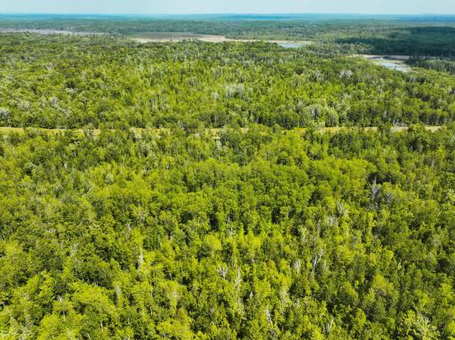 TBD County 52 NE, Remer, MN 56672
