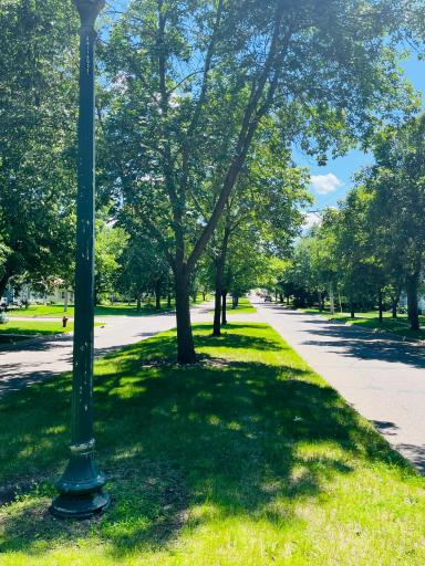 The boulevard view is always a gorgeous way to leave & return home!