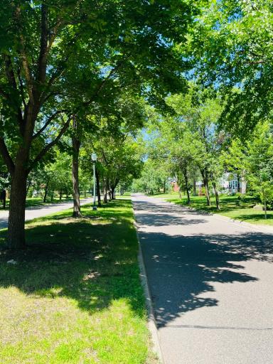 This boulevard is full of homeowners who've been here for many years.