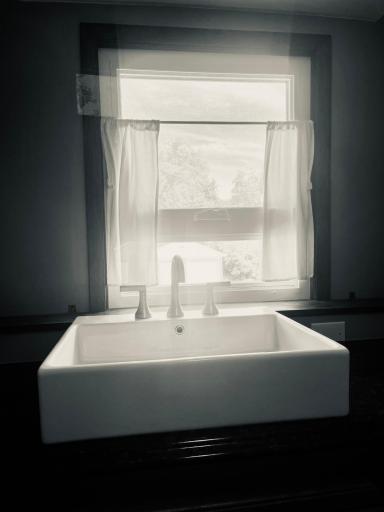 This bathroom is a whole vibe & overlooks the backyard in a nurturing, curious way