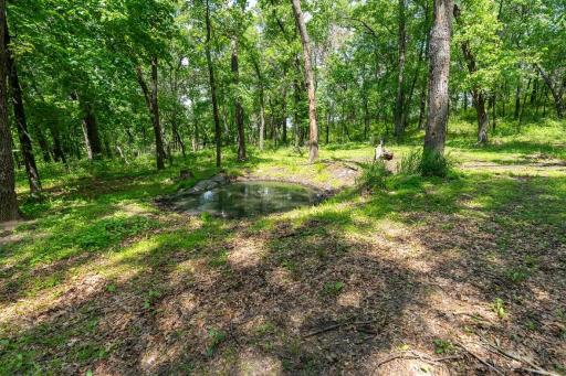 N1024 385th Street, Maiden Rock, WI 54750