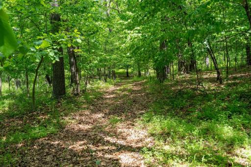 N1024 385th Street, Maiden Rock, WI 54750