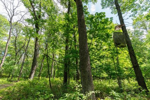 N1024 385th Street, Maiden Rock, WI 54750