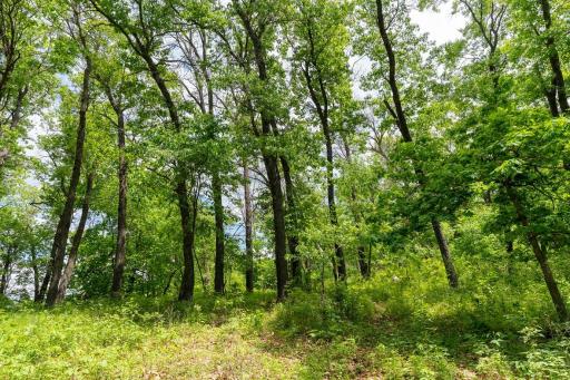 N1024 385th Street, Maiden Rock, WI 54750