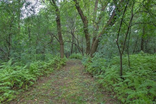 43020 Blackhawk Road, Harris, MN 55032