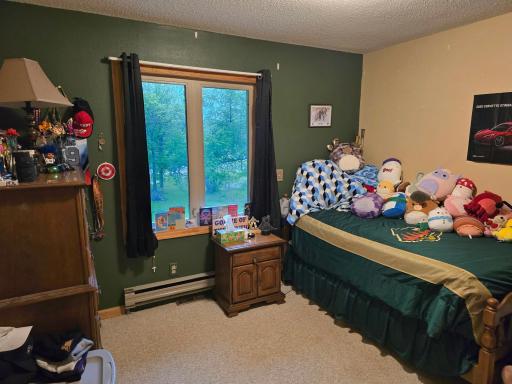 Photo for 1991 County Road 134, International Falls, MN 56649 - Listing #6733029 1991 County Road 134, International Falls, MN 56649