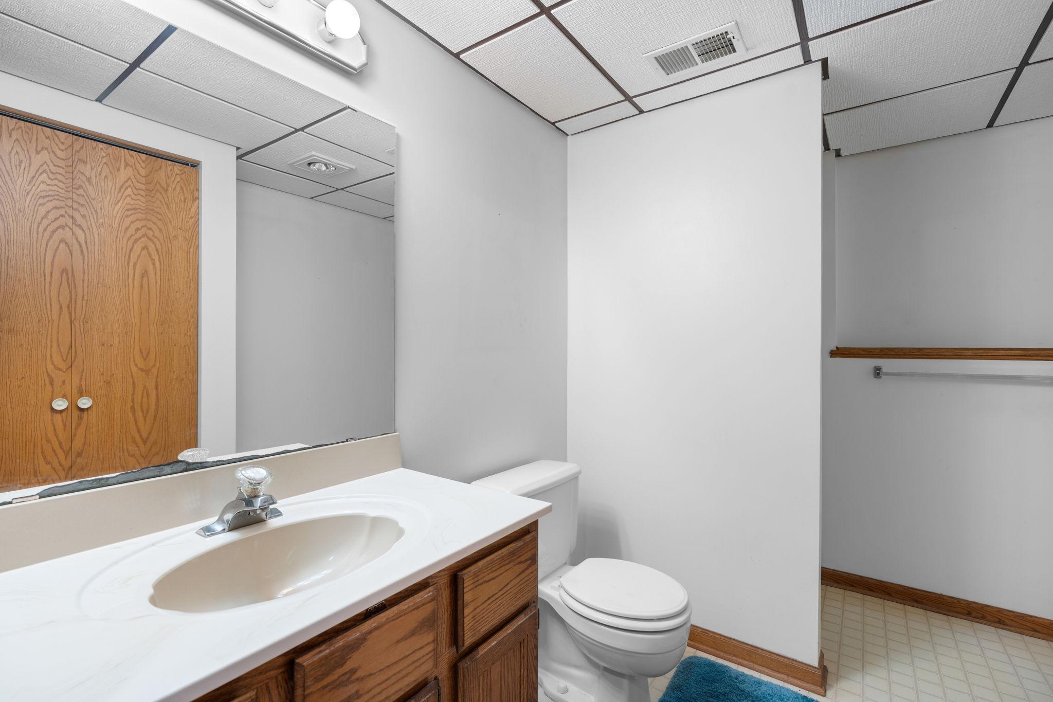 Lower Level Bath