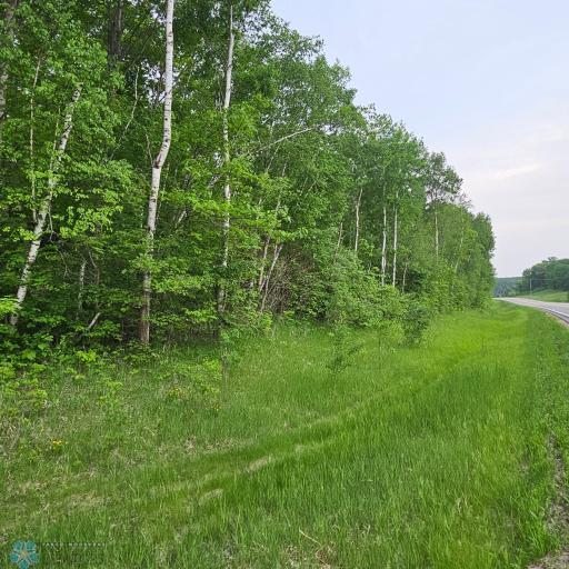 County Highway #24 Co Hwy #24, Erhard, MN 56534