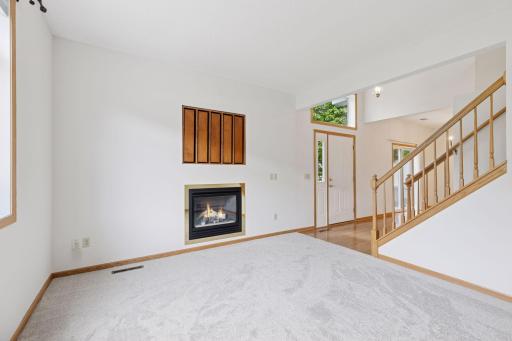 Gas fireplace. Cutout area above is currently housing a pullout shelving system (it can be removed).