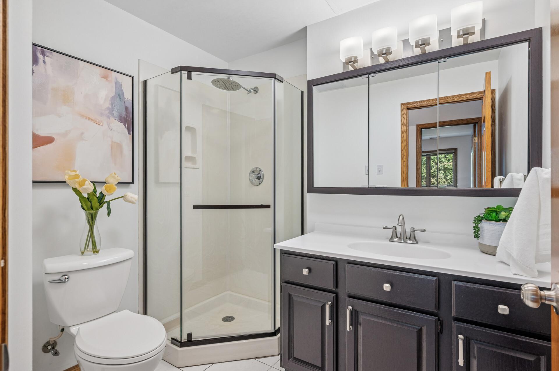 Lower level bathroom.
