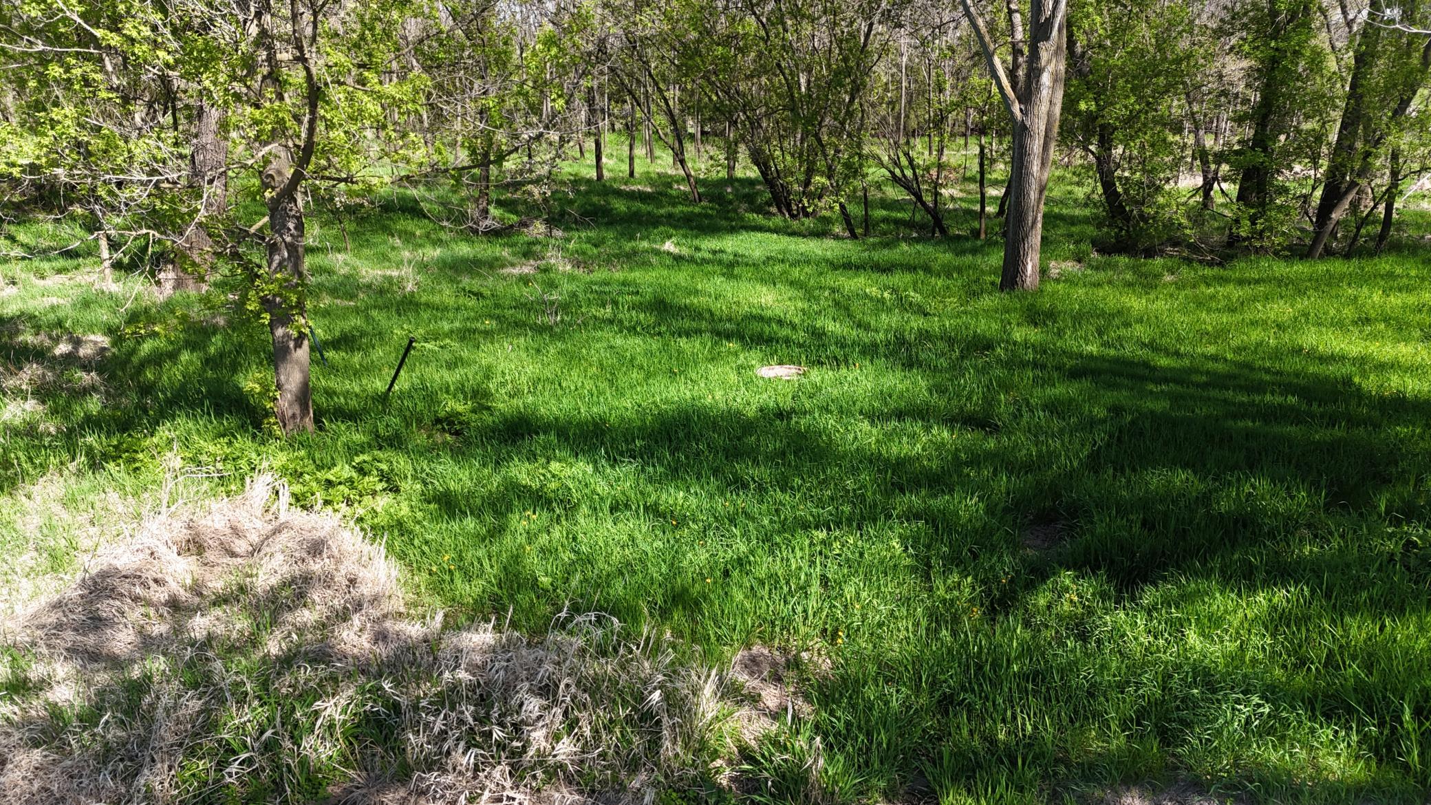 Scenic 3 acre recreational lot on Zumbro River
