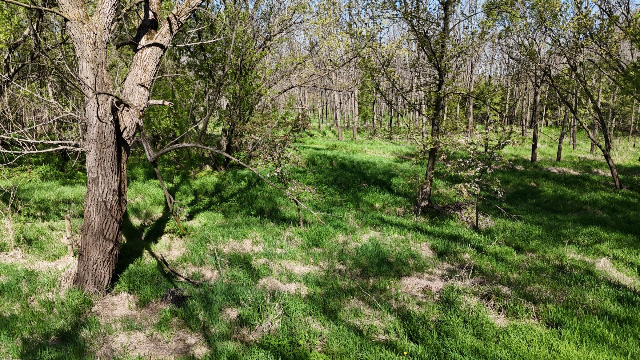 Scenic 3 acre recreational lot on Zumbro River