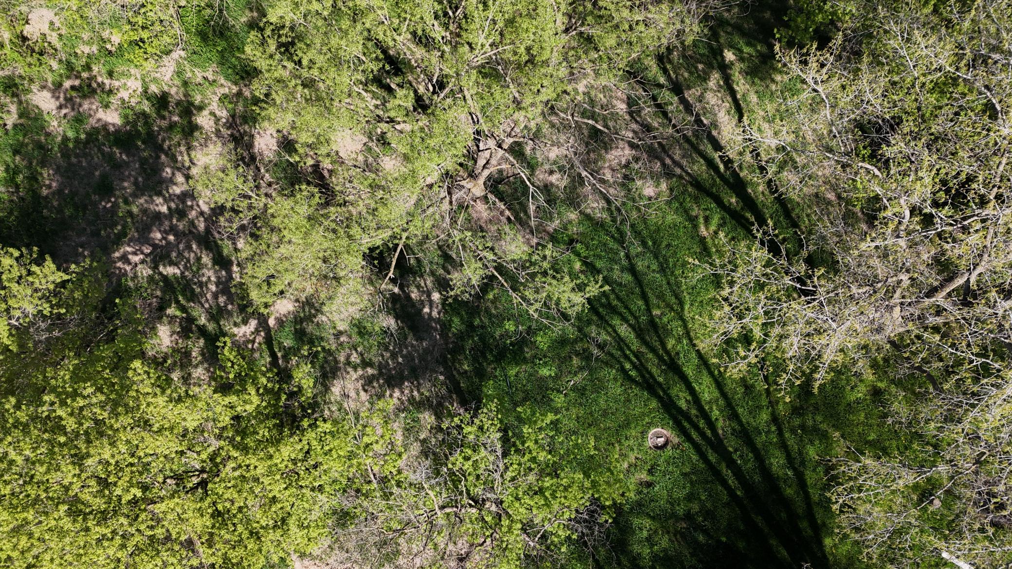 Scenic 3 acre recreational lot on Zumbro River