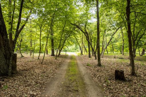 3011 Government Point Road NE, Alexandria, MN 56308