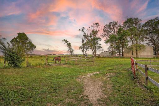 Pasture area