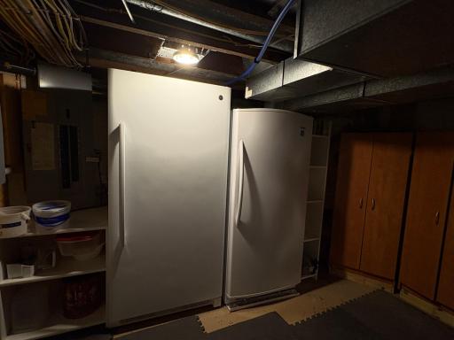 Extra Refrigerator and Freezer in Basment