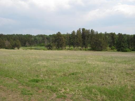 TBD 32ND AVENUE SW, Backus, MN 56435