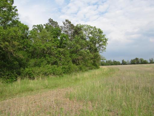 TBD PARCEL 12 32ND AVE SW, Backus, MN 56435