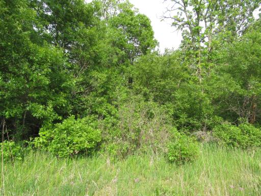 TBD PARCEL 12 32ND AVE SW, Backus, MN 56435