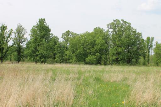 TBD Feeley 3, Warba, MN 55793