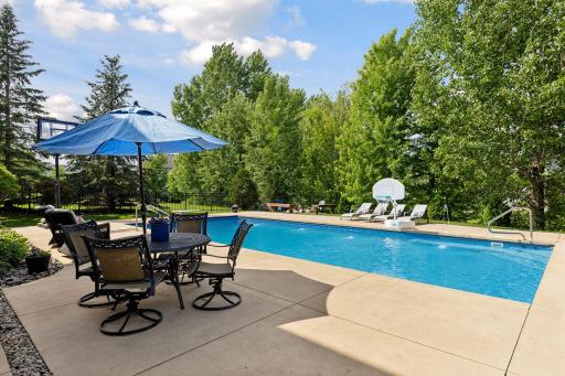Wayzata schools on a Private Wooded Lot to Enjoy your Backyard Oasis Pool area with fountains