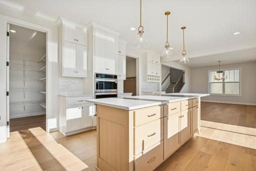 HVW - Abbott - 6501 Timber Arch Dr, Chaska (32).jpg