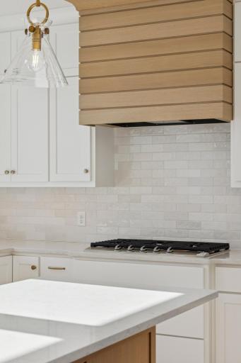 HVW - Abbott - 6501 Timber Arch Dr, Chaska (31).jpg