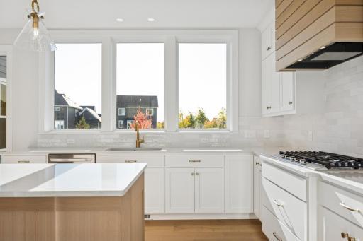 HVW - Abbott - 6501 Timber Arch Dr, Chaska (30).jpg