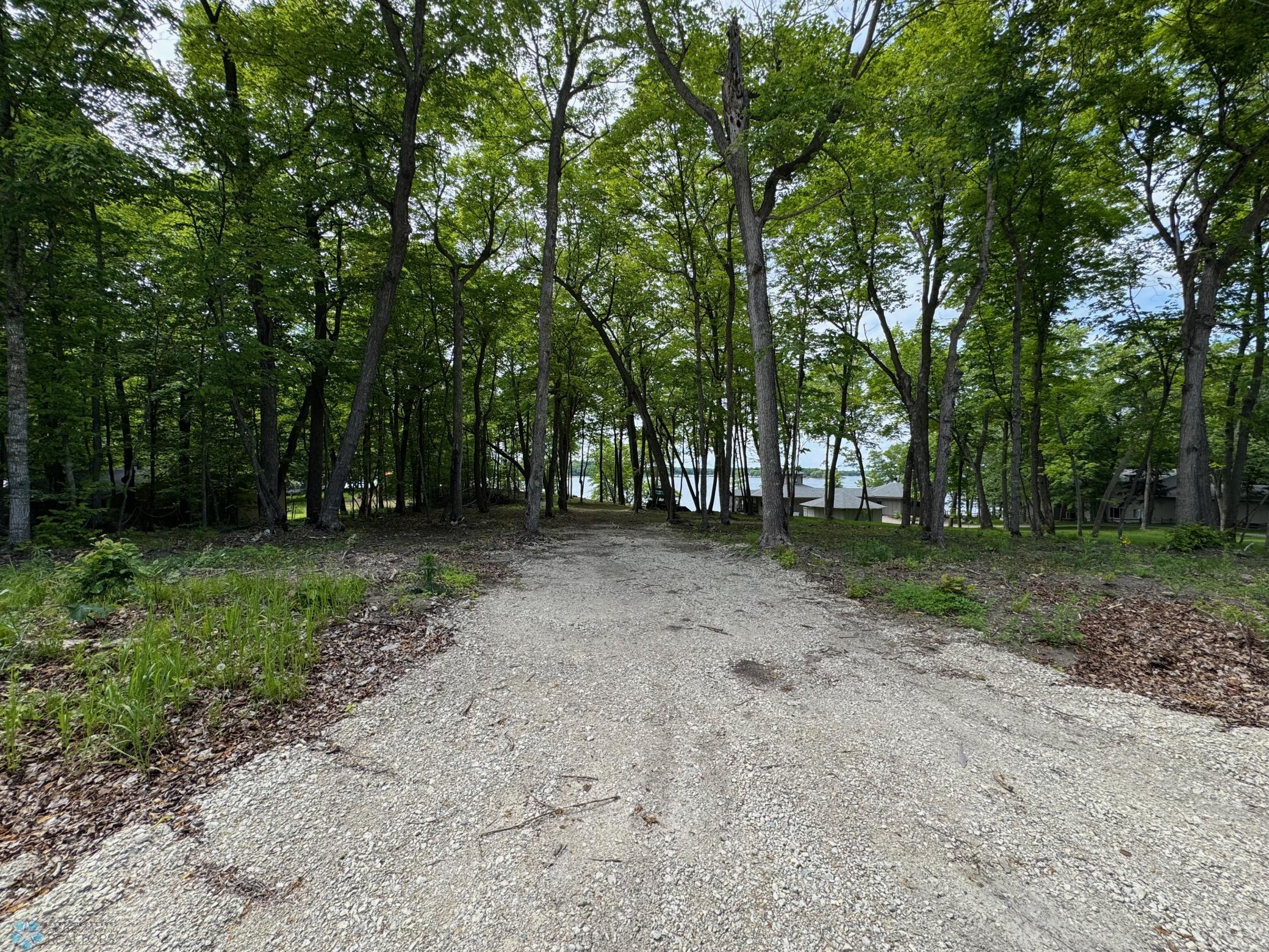 Driveway looking toward the lake.jpeg