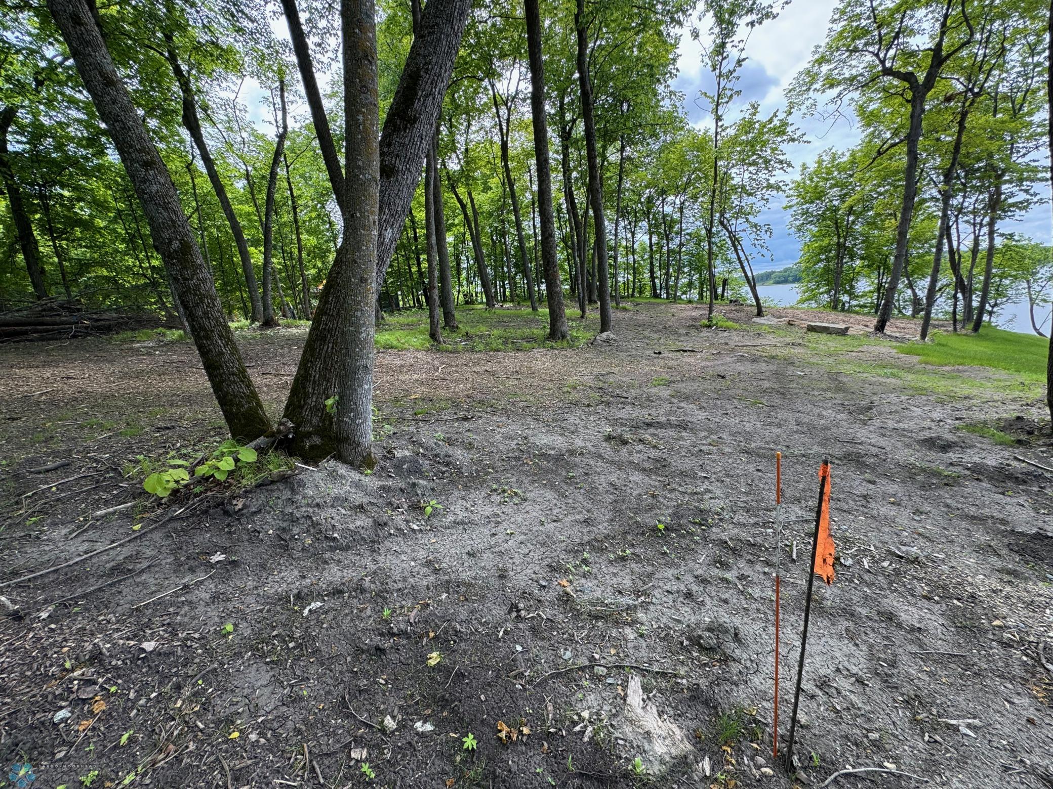 Mid north side looking toward the lake.jpeg