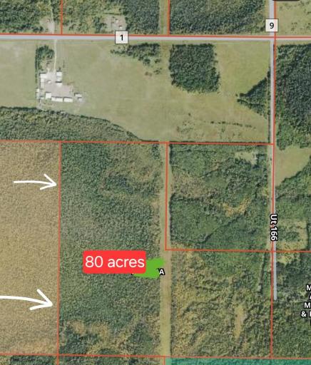 Photo for TBD Town Road 166, Littlefork, MN 56653 - Listing #6734834 TBD Town Road 166, Littlefork, MN 56653