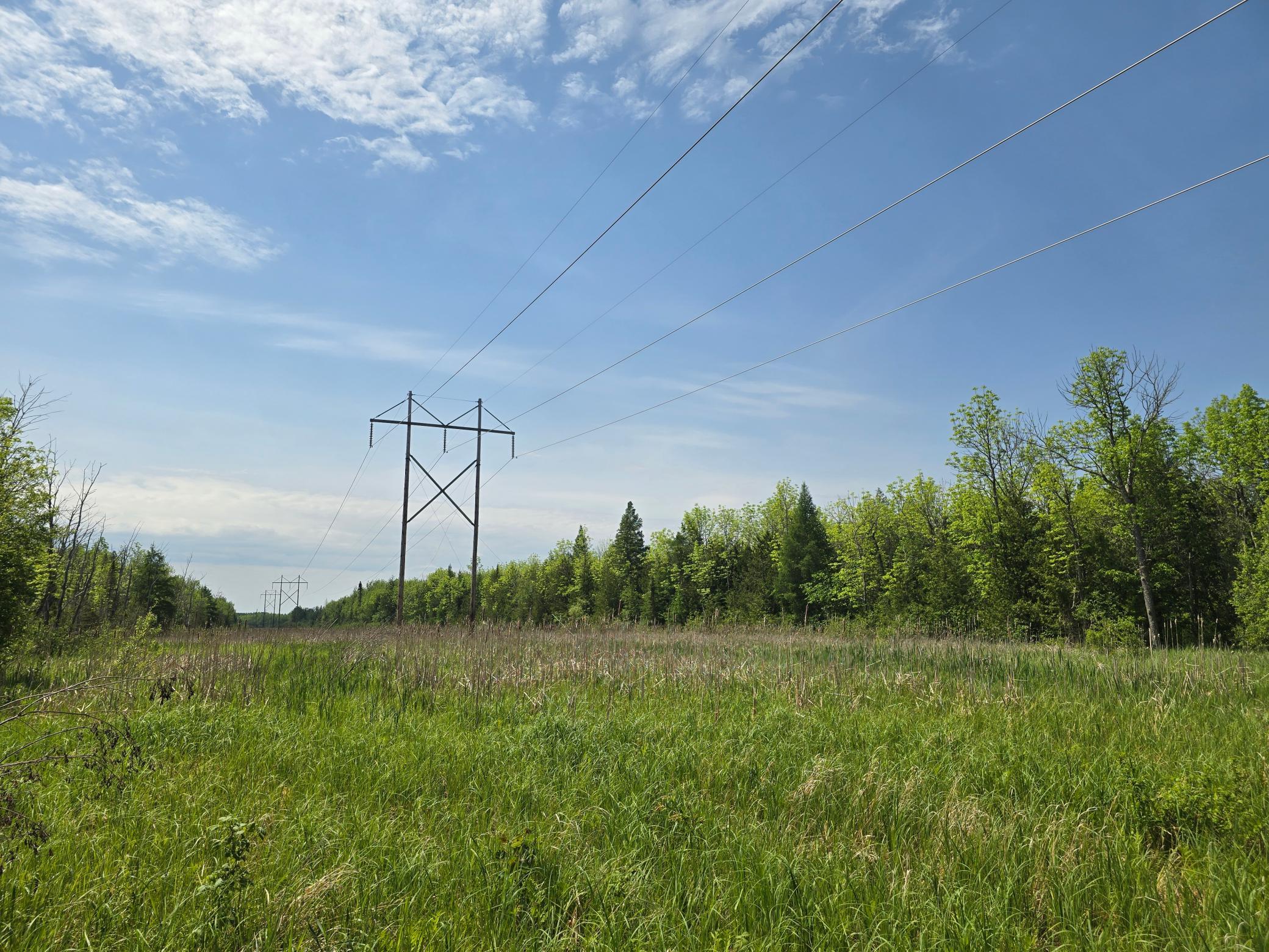 Photo for TBD Town Road 166, Littlefork, MN 56653 - Listing #6734834 TBD Town Road 166, Littlefork, MN 56653
