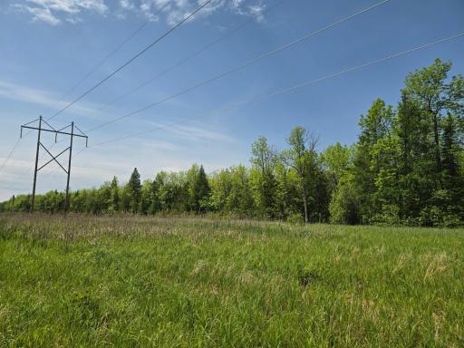 Photo for TBD Town Road 166, Littlefork, MN 56653 - Listing #6734834 TBD Town Road 166, Littlefork, MN 56653