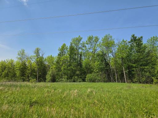 Photo for TBD Town Road 166, Littlefork, MN 56653 - Listing #6734834 TBD Town Road 166, Littlefork, MN 56653