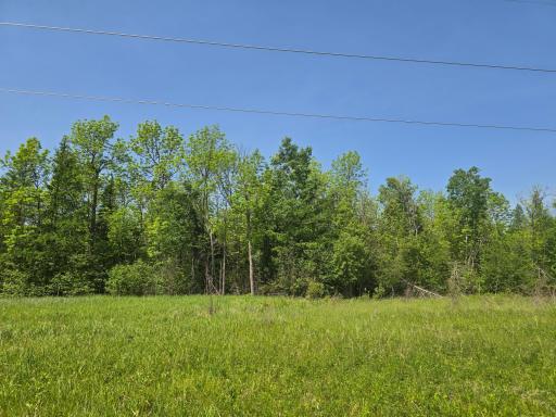 Photo for TBD Town Road 166, Littlefork, MN 56653 - Listing #6734834 TBD Town Road 166, Littlefork, MN 56653