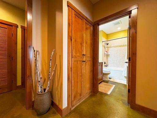 2438 Birch Point Road, Tower, MN 55790