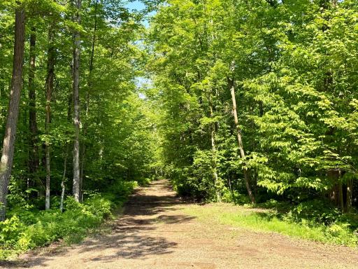 74564 Cane Creek Road, Askov, MN 55704