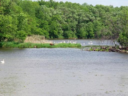 Photo for 1223 Elizabeth Avenue N, Thief River Falls, MN 56701 - Listing #6735785 1223 Elizabeth Avenue N, Thief River Falls, MN 56701