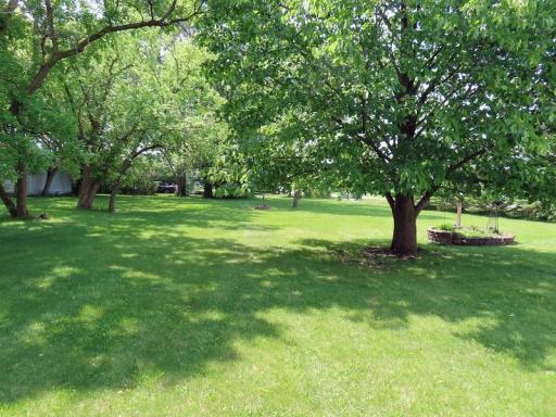 Photo for 1223 Elizabeth Avenue N, Thief River Falls, MN 56701 - Listing #6735785 1223 Elizabeth Avenue N, Thief River Falls, MN 56701
