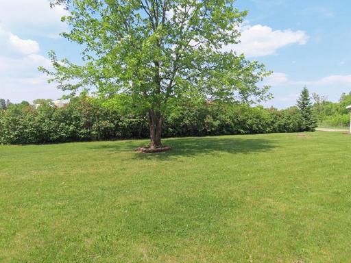 Photo for 1223 Elizabeth Avenue N, Thief River Falls, MN 56701 - Listing #6735785 1223 Elizabeth Avenue N, Thief River Falls, MN 56701