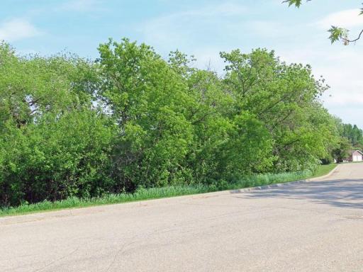 Photo for 1223 Elizabeth Avenue N, Thief River Falls, MN 56701 - Listing #6735785 1223 Elizabeth Avenue N, Thief River Falls, MN 56701