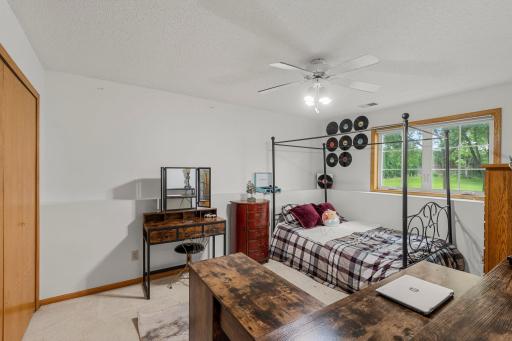 Also on the lower level, Bedroom 4 offers carpeting, a ceiling fan, and a spacious closet with wire shelving.