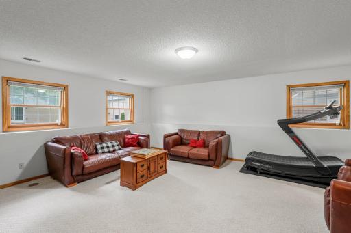 The lower-level family room is spacious and comfortably carpeted, featuring three windows that fill the space with natural light.