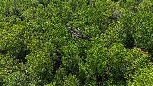TBD S Movil Lake Road NW, Bemidji, MN 56601