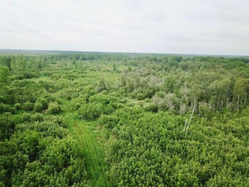 Photo for 3274 County Road 1 SW, Baudette, MN 56623 - Listing #6736738 3274 County Road 1 SW, Baudette, MN 56623