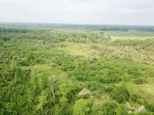 Photo for 3274 County Road 1 SW, Baudette, MN 56623 - Listing #6736738 3274 County Road 1 SW, Baudette, MN 56623