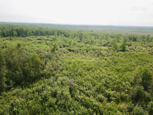 Photo for 3274 County Road 1 SW, Baudette, MN 56623 - Listing #6736738 3274 County Road 1 SW, Baudette, MN 56623